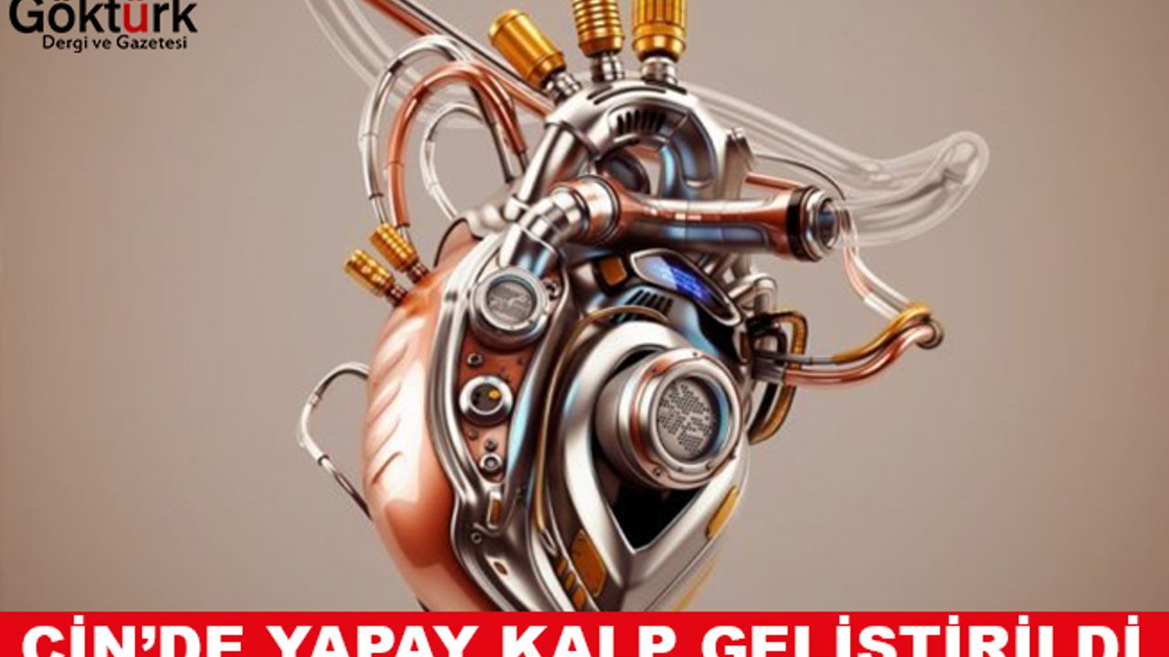 Çin'de Yapay Kalp Geliştirildi