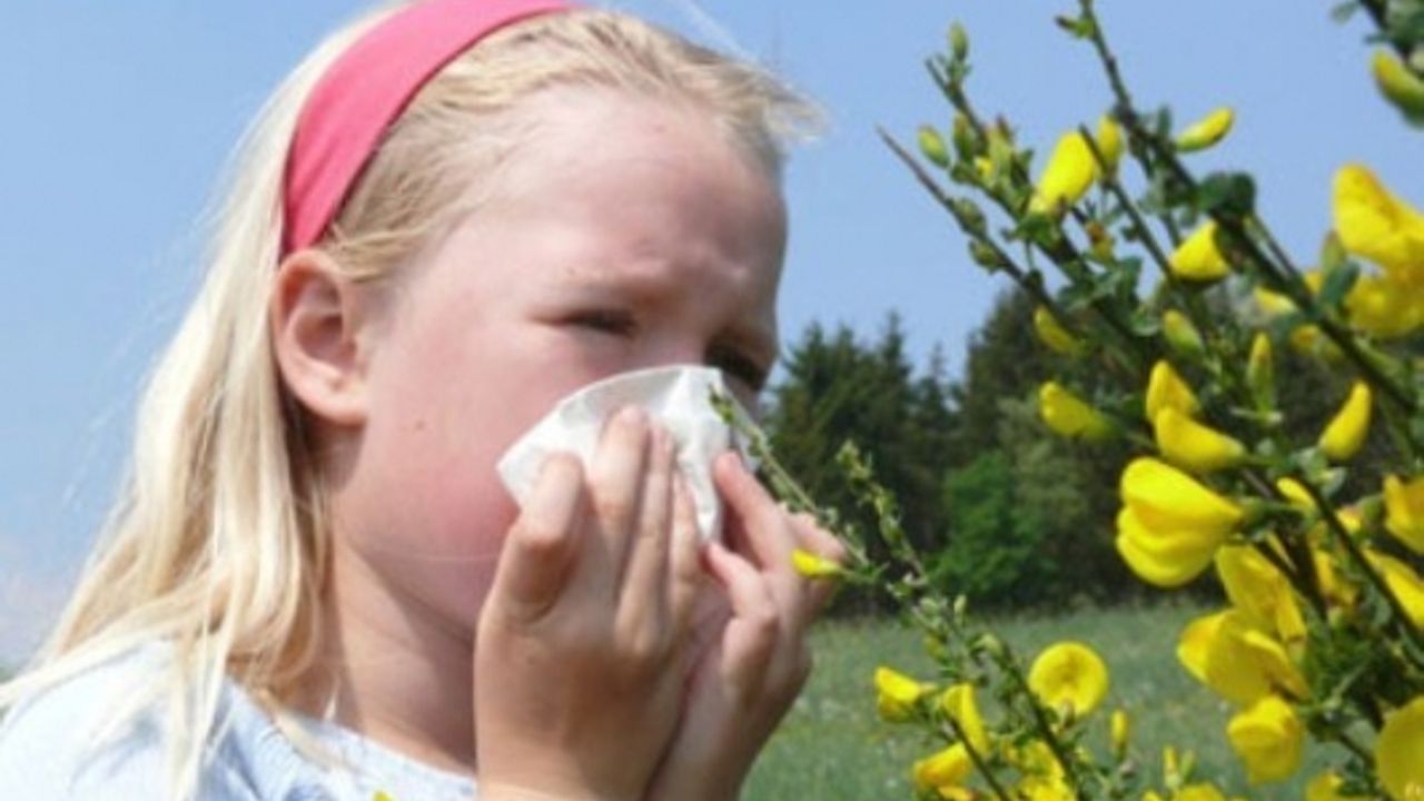 Polen alerjisi belirtileri nelerdir? Bahar alerjisi nedir? Bahar nezlesi nasıl geçer?
