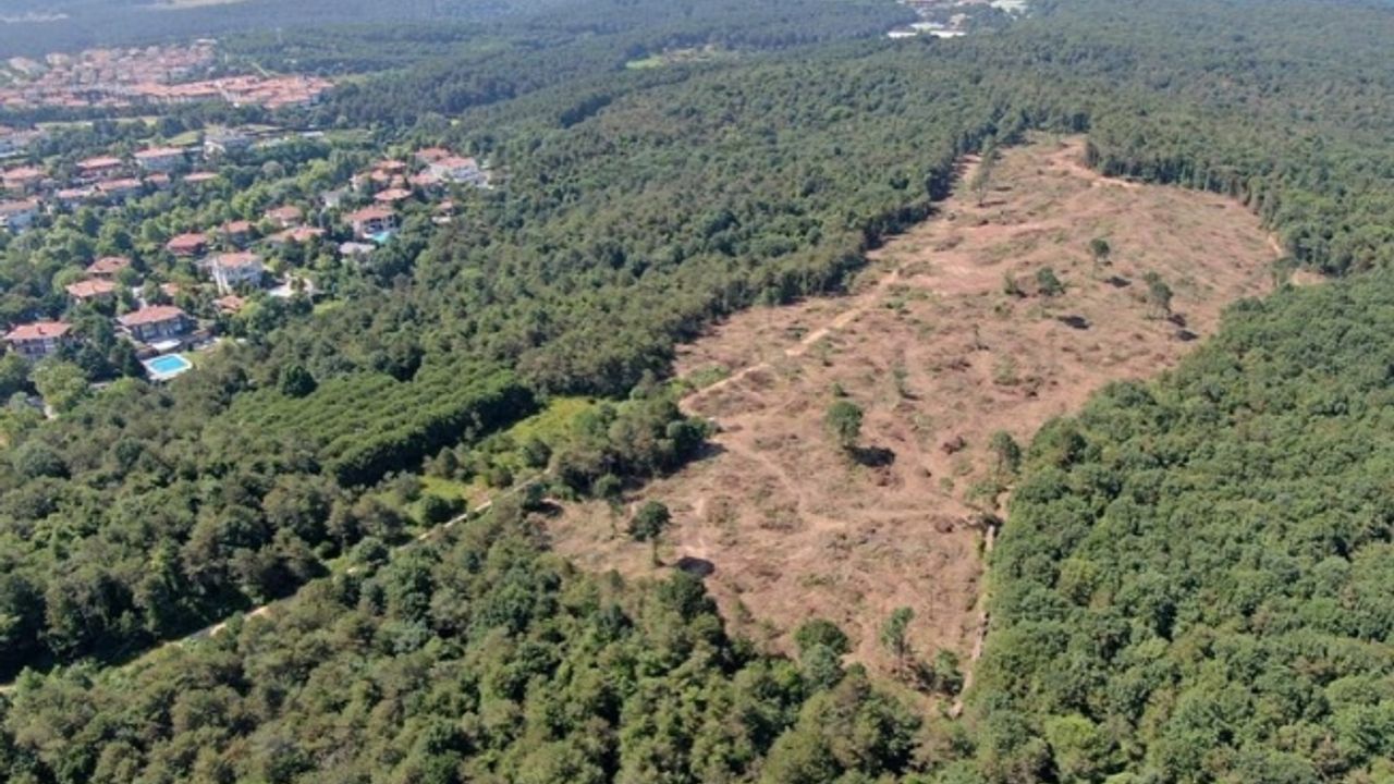 Tarım ve Orman Bakanlığı Açıklama Yaptı!