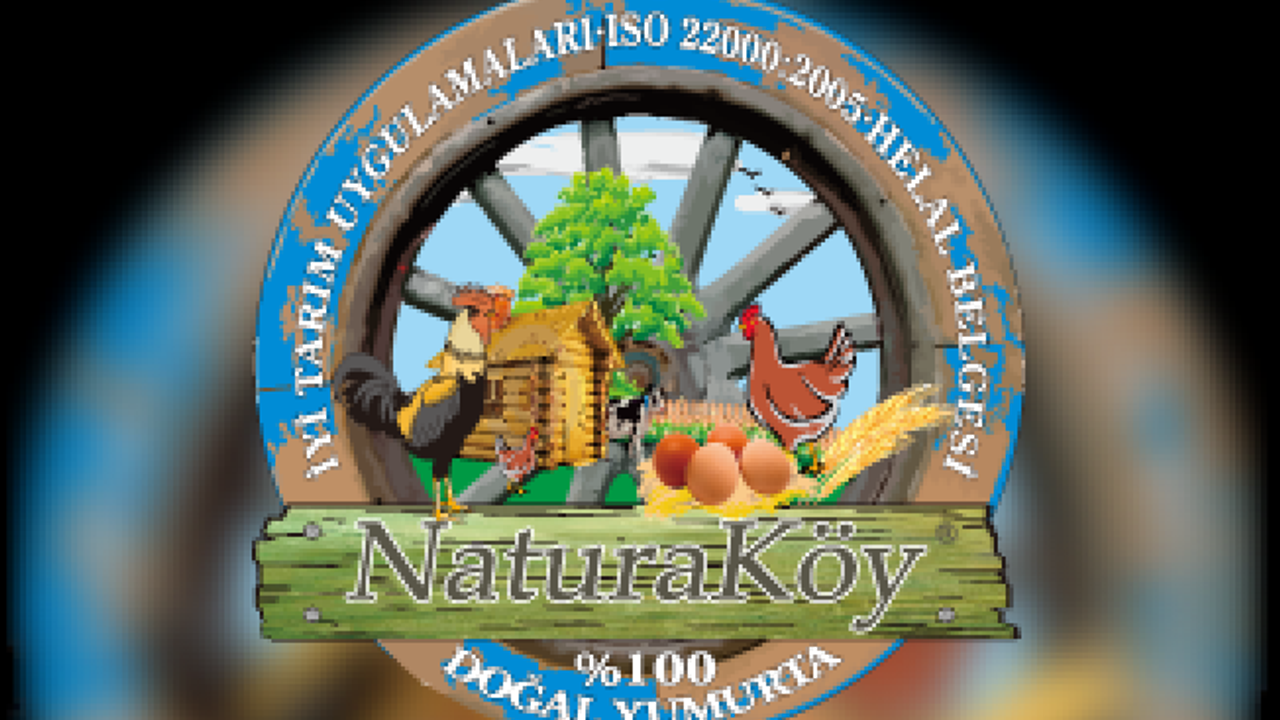 DOĞAL YUMURTA ARTIK KAPINIZA GELIYOR