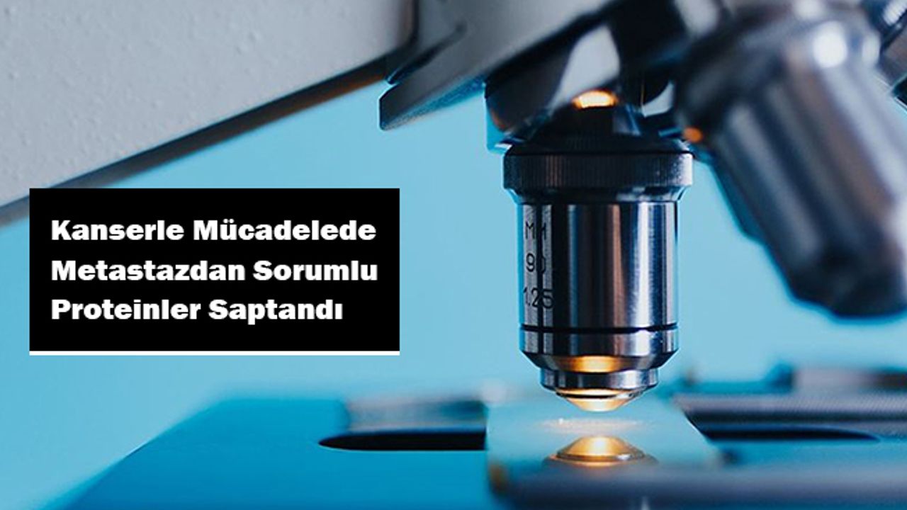 Kanserle mücadelede metastazdan sorumlu proteinler saptandı