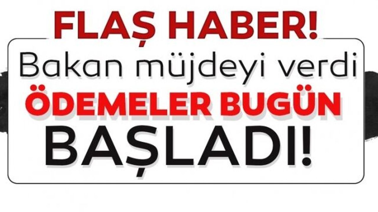 Bakan Selçuk müjdeyi verdi! Ağustos ayı işsizlik ve kısa çalışma ödemeleri bugün başladı...