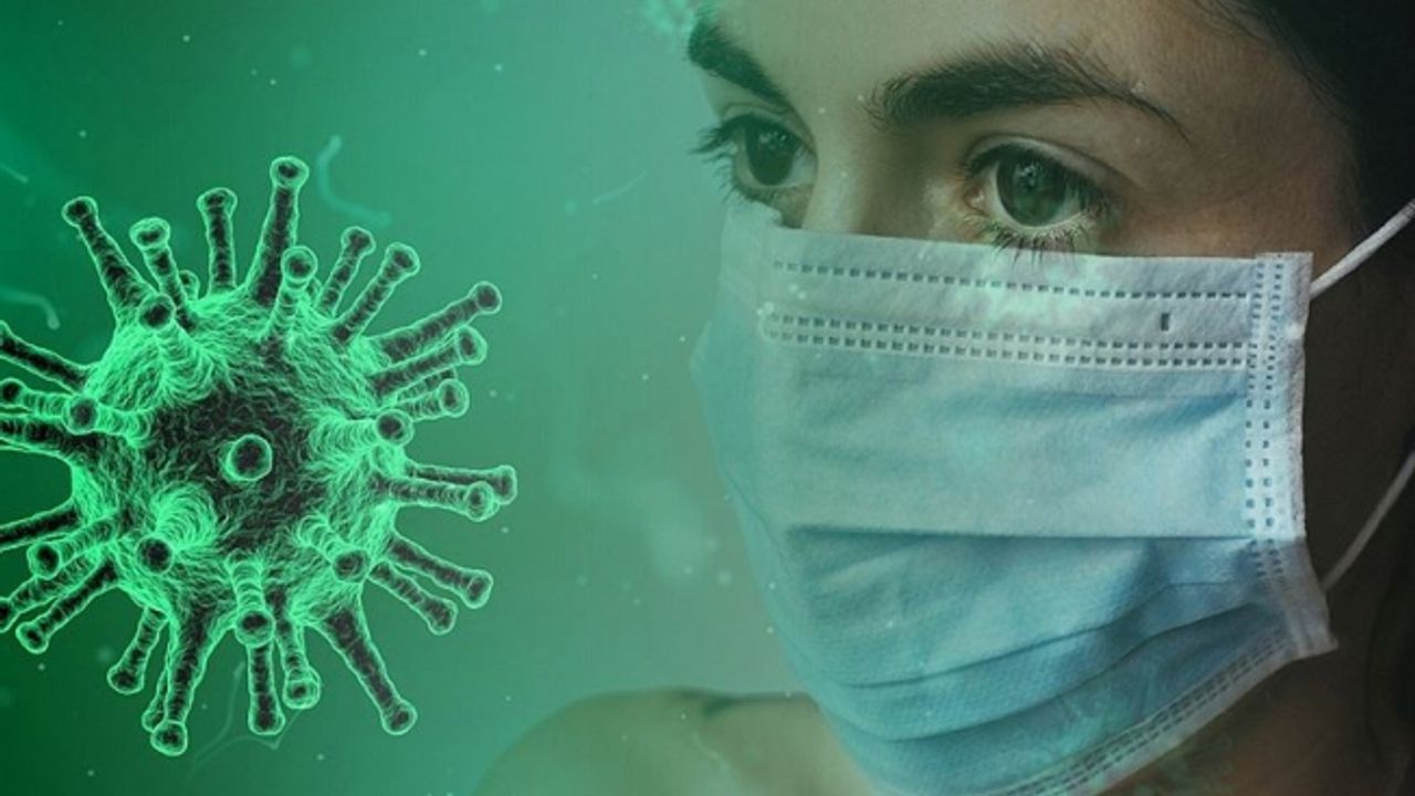 Bilim insanlarından korkutan keşif: Keşfedilmemiş 1.7 milyon virüs var!