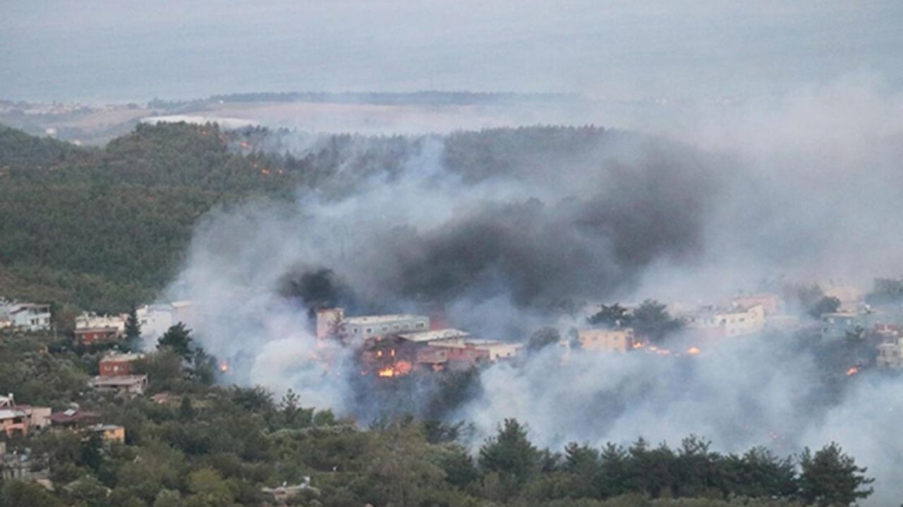 Son dakika: Hatay'da orman yangını! Bazı evler tahliye edilirken, Bodrumda alevler yeniden yükseldi.