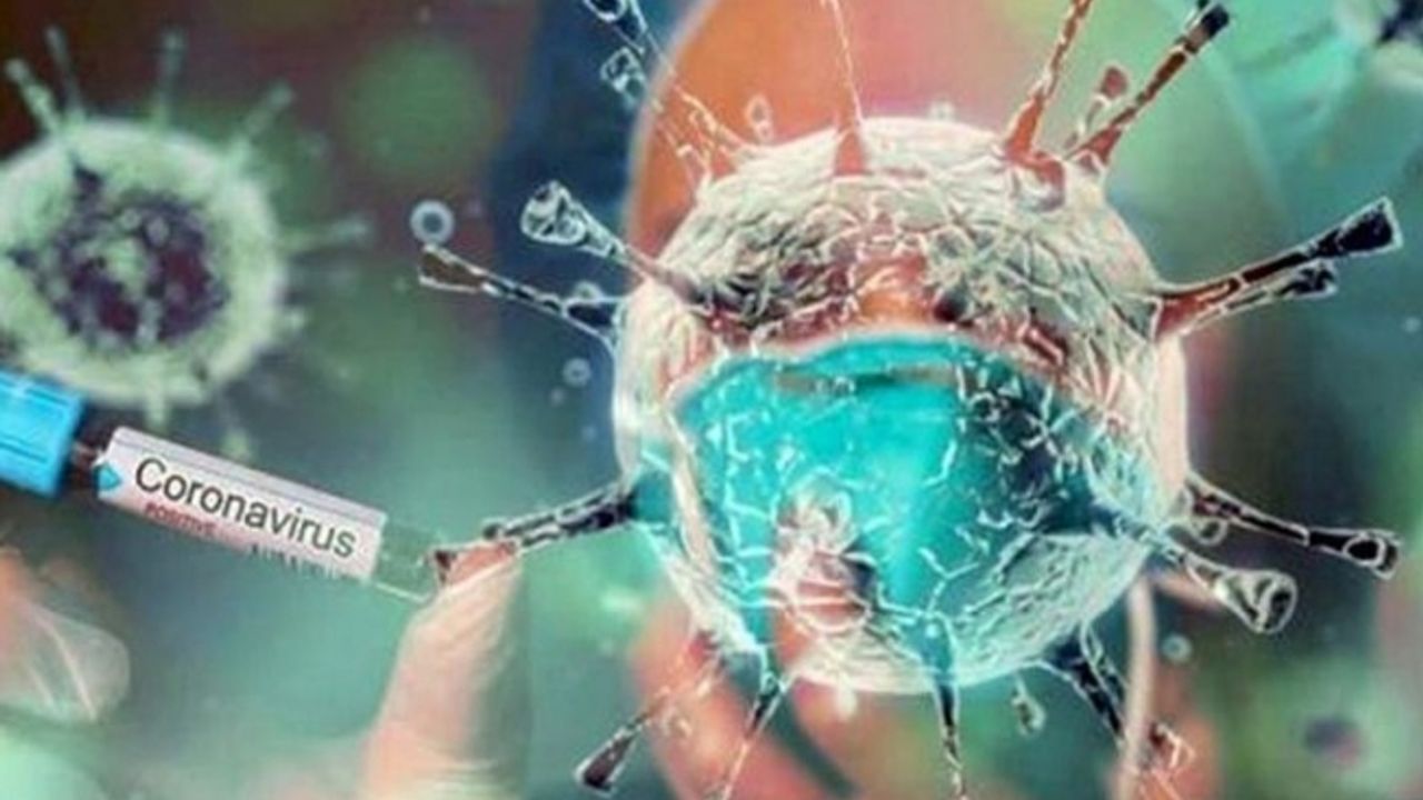 Koronavirüs salgını nihayet bitiyor mu?