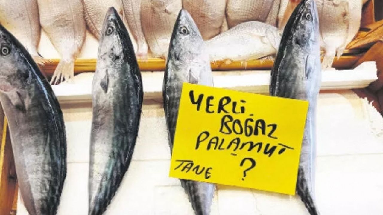 Tezgahlardaki bu görüntüye tepki: Satılması çok tehlikeli, ciddi kararlar alınmalı