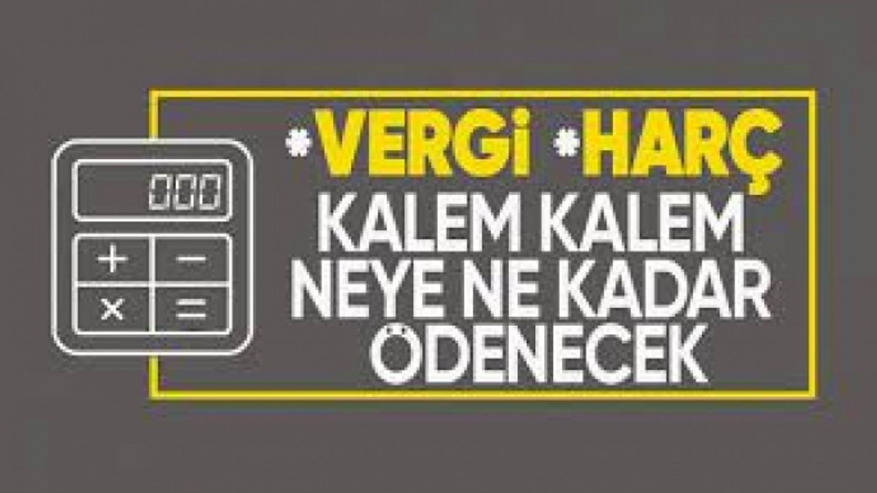 Kalem kalem yeni harç ve tarifeler! 2024 trafik cezaları, cep telefonu kaydı...