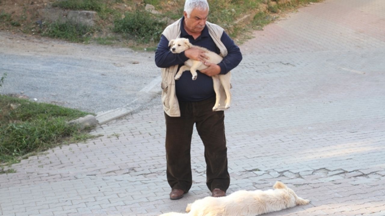 Merakla beklenen “Dedemin Gözyaşları’’ filminden ‘Sokak Hayvanları’ için duyarlı sahne...