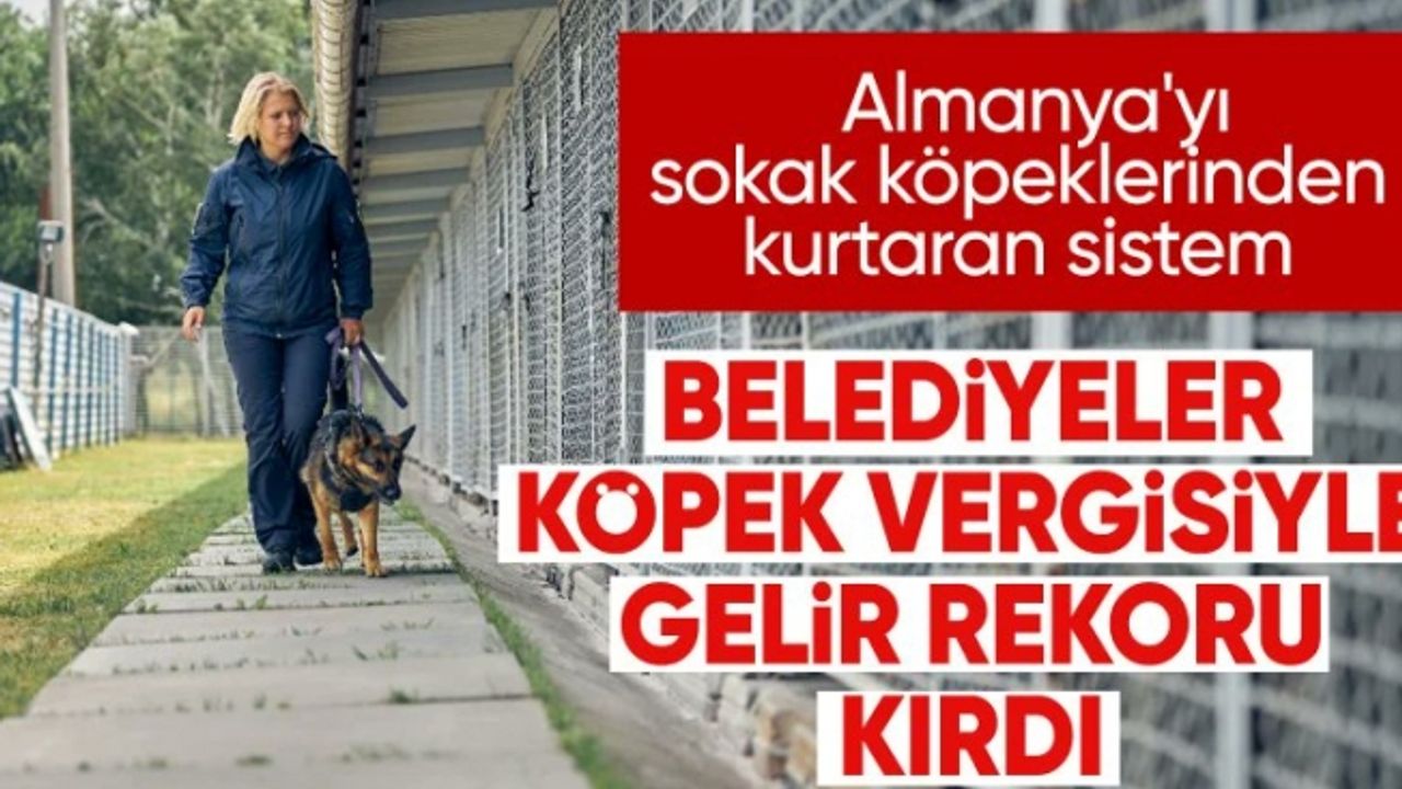 Almanya, 'köpek vergisi' rekoru kırdı