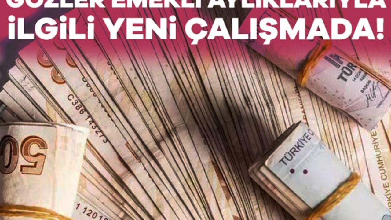 Maaş farkı neden oluyor? Emeklilerin gözü yeni çalışmada