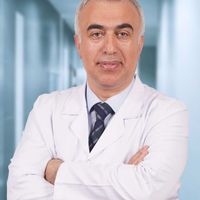 Prof. Dr. Sebahattin Destek