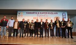 Eyüpsultan’da renkli kanarya festivali