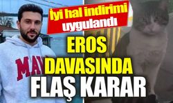 Kedi Eros'u vahşice katletmişti! İbrahim Keloğlan'ın cezası belli oldu... 'İyi hal' indirimi uygulandı