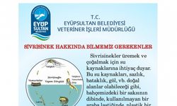 Sivrisineklerle mücadelede vatandaşlar bilinçlendiriliyor