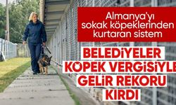 Almanya, 'köpek vergisi' rekoru kırdı