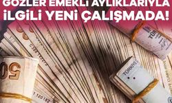 Maaş farkı neden oluyor? Emeklilerin gözü yeni çalışmada