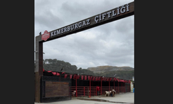 Kemerburgaz Çiftliği Doğal'lığın Yeri