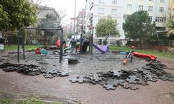 Kardelen Parkı’ndan sonra Manolya Parkı’nı da yaktılar