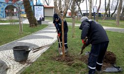 Eyüpsultan’ın dört bir yanına yeni yeşil alanlar kazandırıyoruz