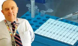 Kene kabusu bitiyor... Prof. Dr. Kara açıkladı: Kırım Kongo aşısında Türkiye umut olacak