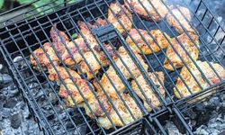 Mangal yasağı tavuğu vurdu