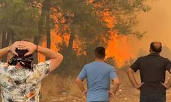 Antalya'da 3 ilçede orman yangını! Anonslarla evler tahliye edildi