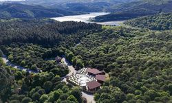 Doğanın Tam Kalbinde Hayal Ettiğiniz Gibi "Kent Garden"
