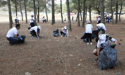 Dünya Temizlik Günü'nde ormanlık alanlarda çöpler toplandı