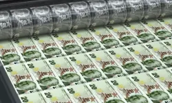 Yeni 20 TL'lik banknotlar tedavüle girdi