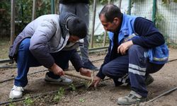 Hobi bahçesi bu kez özel öğrenciler için hazırlandı