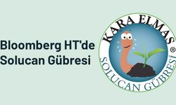 BIOCHAR ile ZENGİNLEŞTİRİLMİŞ SOLUCAN GÜBRESİ