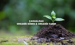 Karaelmas A.Ş., Biochar ile Zenginleştirilmiş Özel Ürünü Üretmeyi Başardı