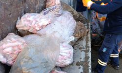 Eyüpsultan’da Ruhsatsız Hayvan Ayağı İşleme Tesisi Mühürlendi