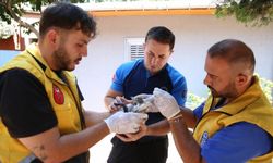 Kemerburgaz'da Patili Dostlara Umut Olan Merkez