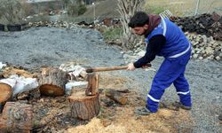 Fırtınada devrilen ağaçlar ihtiyaç sahiplerini ısıtıyor