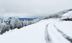 Meteoroloji’den Kar Uyarısı: Bu Hafta Hangi Şehirlerde Kar Yağışı Bekleniyor?