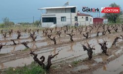 Altyapı çöktü, kent sular altında: Vatandaşlar tepkili