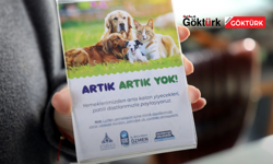 Yemek artıkları patili dostlarımıza can oluyor