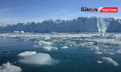 Buzların altında dikkat çeken keşif: 90 milyon yıllık oluşum gün yüzüne çıktı