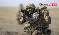 İstanbul merkezli suç örgütüne operasyon: 13 şüpheli yakalandı