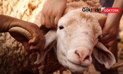 KURBAN BAYRAMI TATİLİ 9 GÜN OLACAK MI? GÖZLER KABİNE TOPLANTISINDA