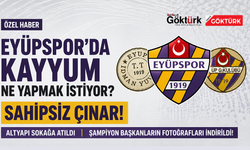 Eyüpspor'da kayyum ne yapmak istiyor? Sahipsiz çınar!