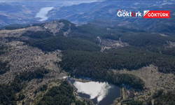 Ankara'da Ormanlara Giriş Yasağı 15 Ekim'e Kadar Uzatıldı