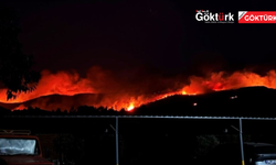 MUĞLA'DA ORMAN YANGINI: OTELLER BOŞALTILDI, TAHLİYELER SÜRÜYOR