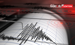 Marmara Denizi’nde Bir Gecede 51 Deprem: Uzmanlardan Dikkat Çeken Açıklamalar