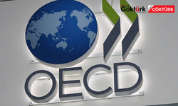 OECD'DEN TÜRKİYE İÇİN ENFLASYON REVİZYONU