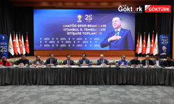 AK Parti İstanbul’da 45 amatör spor branşının temsilcisi bir araya geldi