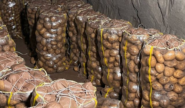 Hepsi geri gönderildi: Yurt dışından gelen 2 bin tondan fazla patates virüslü çıktı