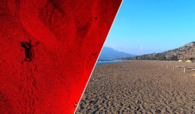 Yılın ilk buluşması Muğla'da gerçekleşti! 70 günlük süreç bitti!