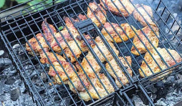 Mangal yasağı tavuğu vurdu
